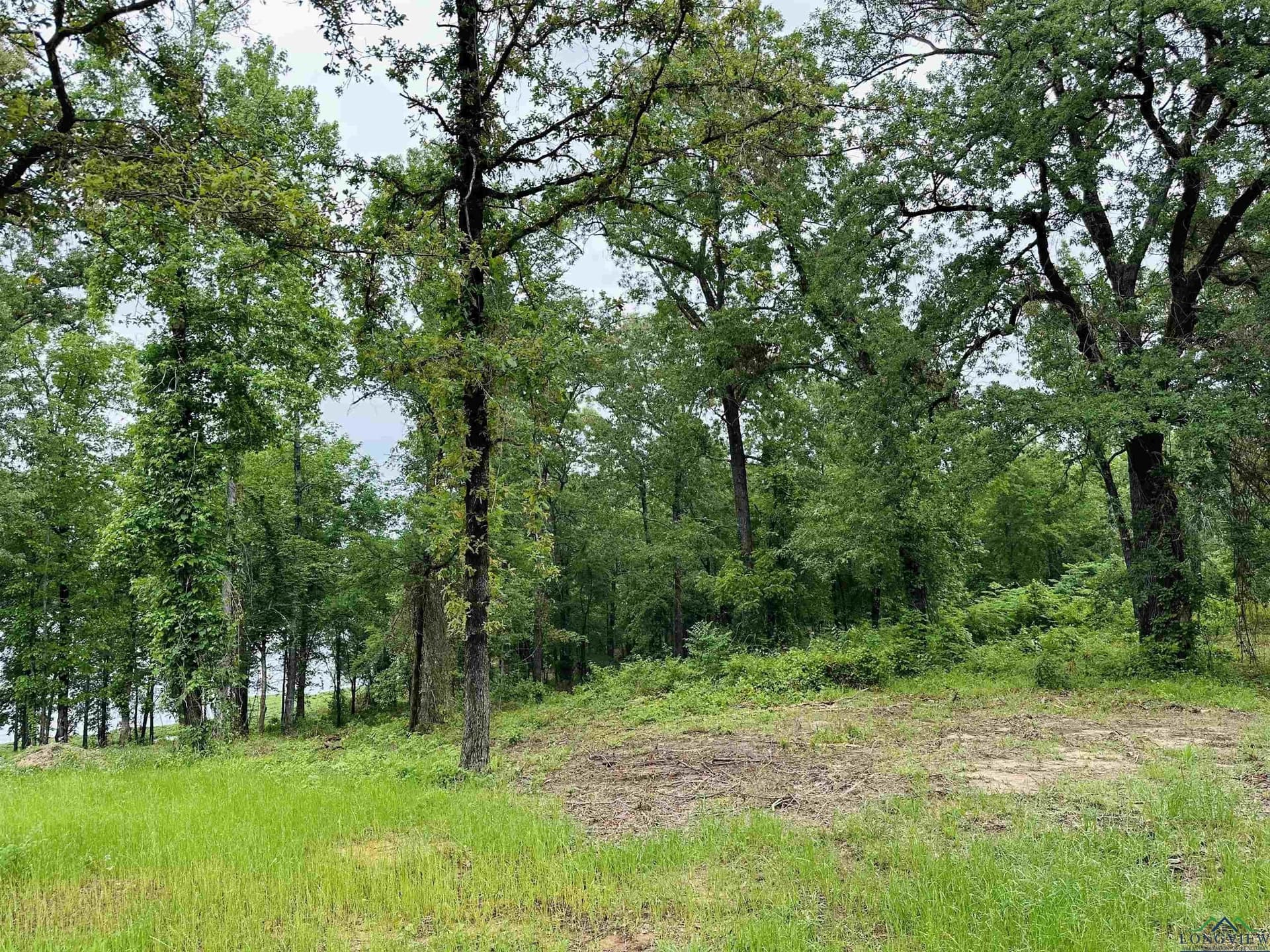 1.45 acres in Texas County - photo 6