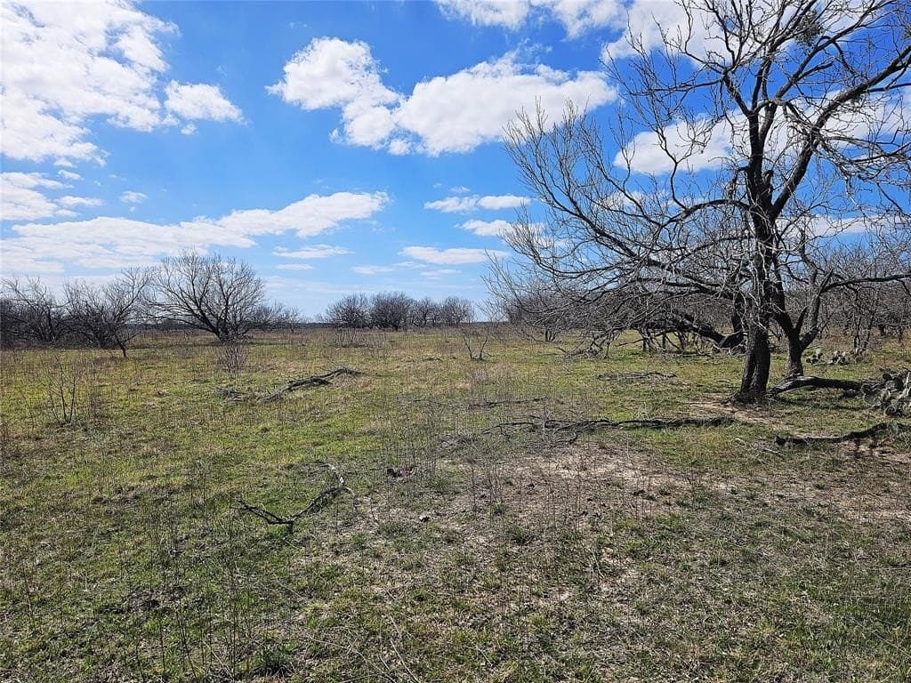 5.05 acres in Limestone County - photo 6