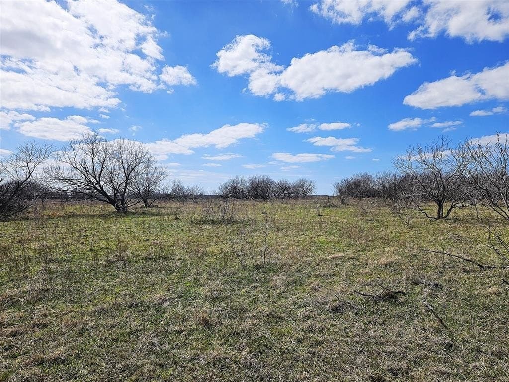 5.05 acres in Limestone County - photo 7