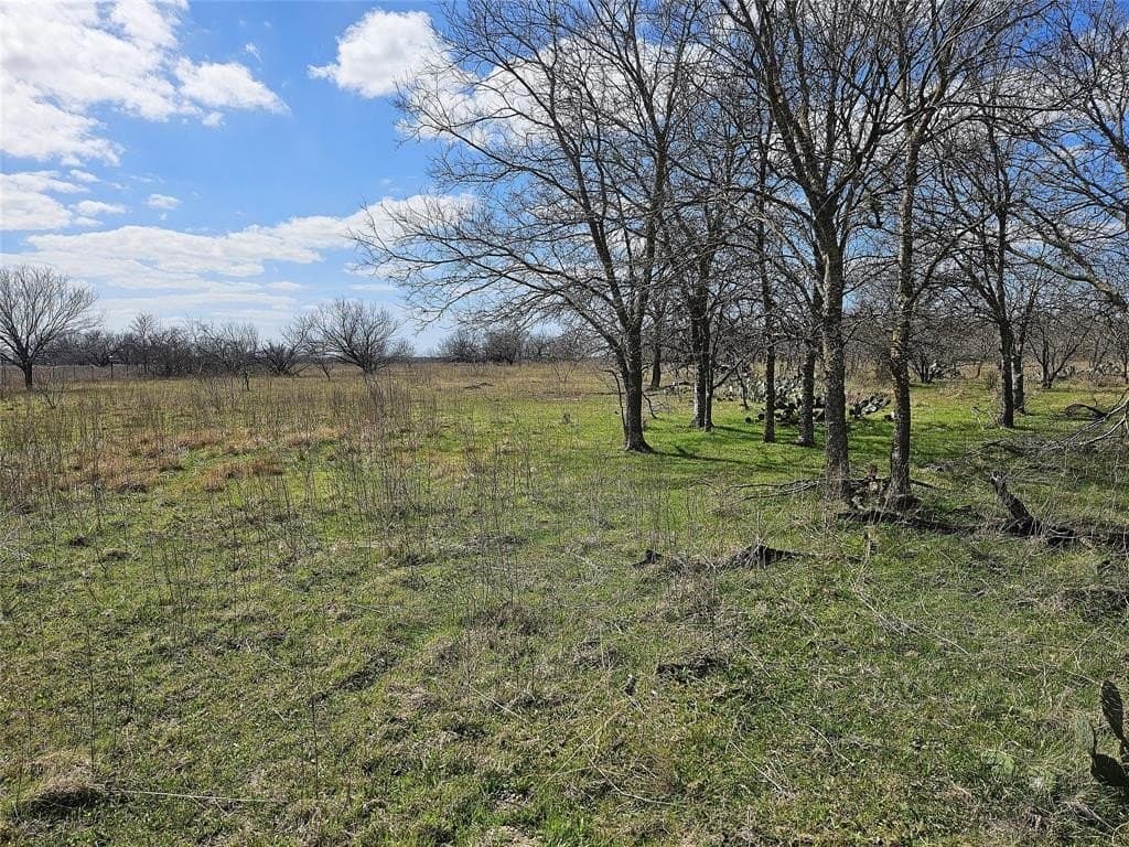 5.05 acres in Limestone County - photo 5