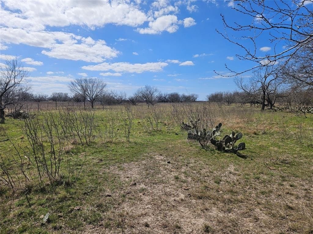 5.05 acres in Limestone County - photo 9