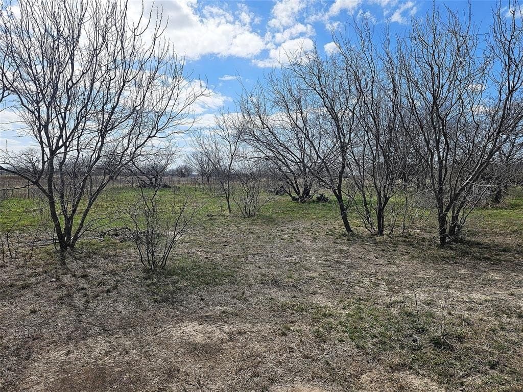 5.05 acres in Limestone County - photo 8