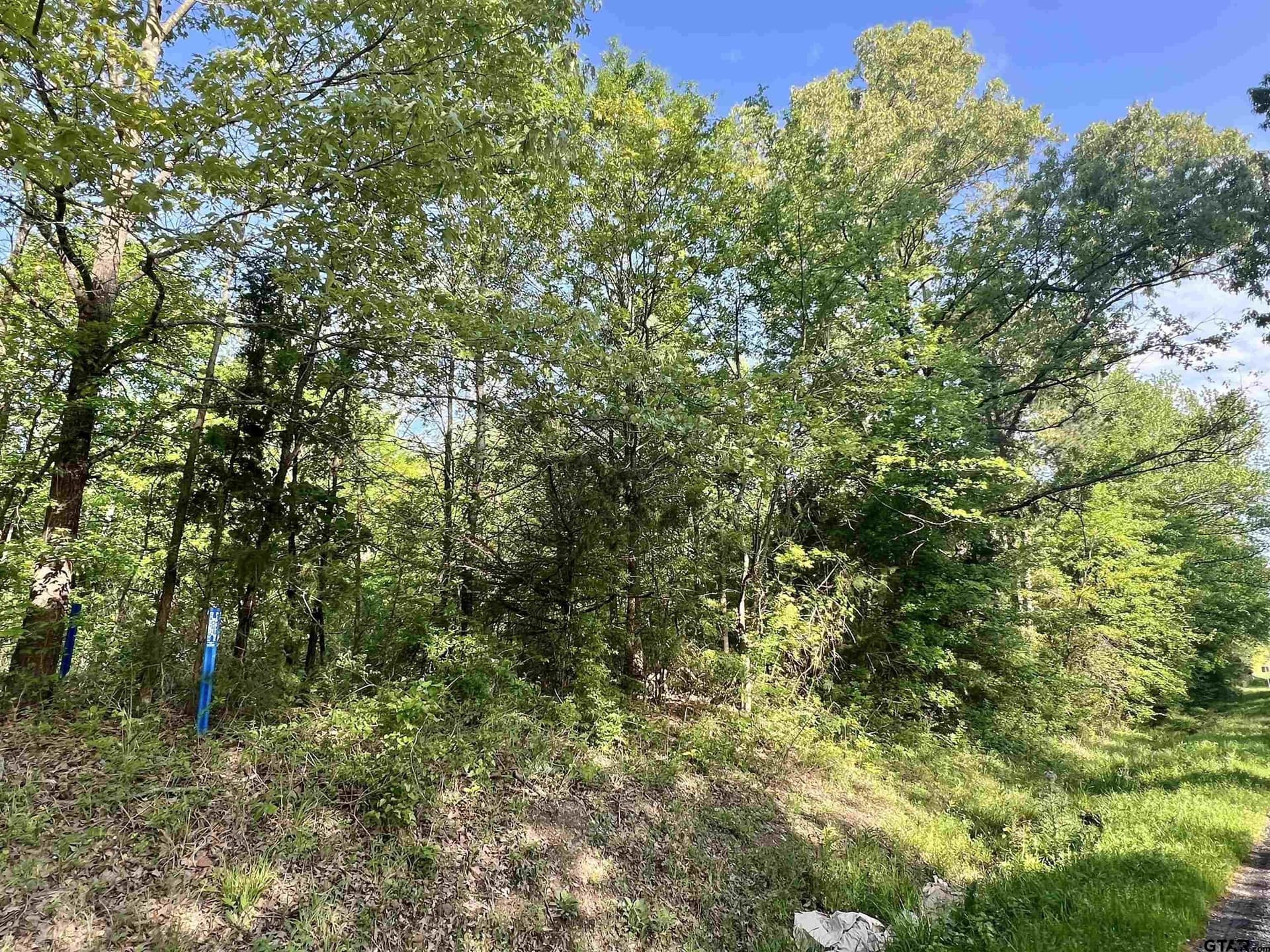 1.5 acres in Titus County - photo 2