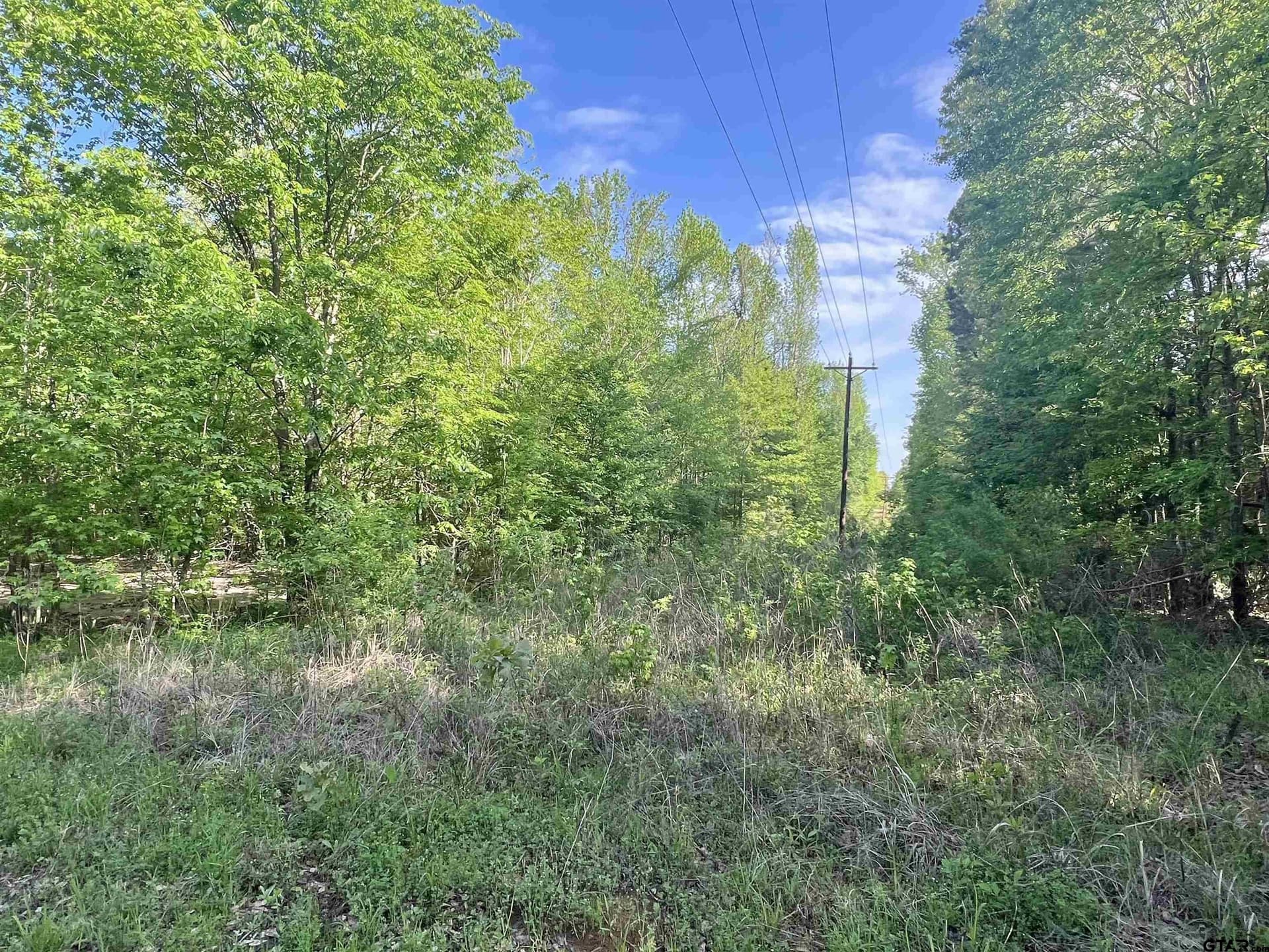 1.5 acres in Titus County - photo 3