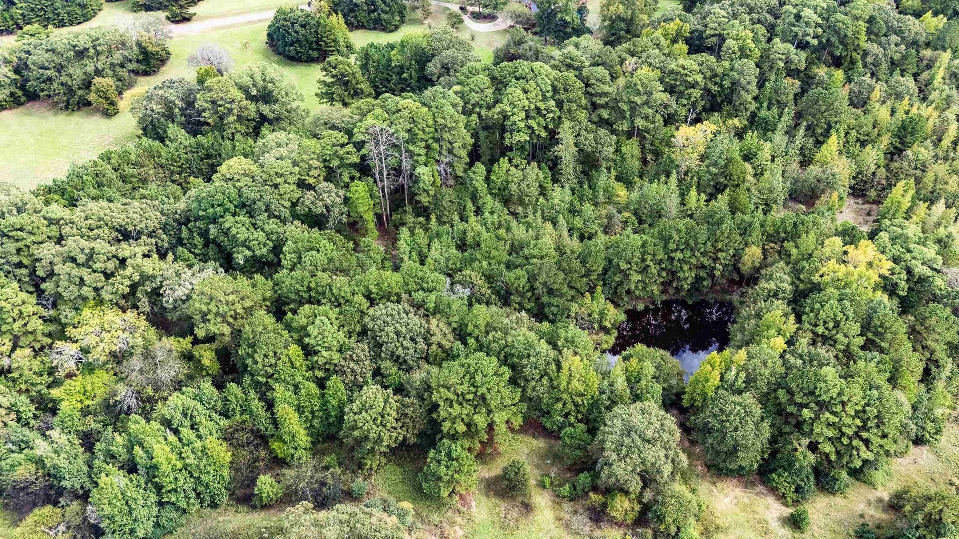 4.67 acres in Harrison County - photo 9