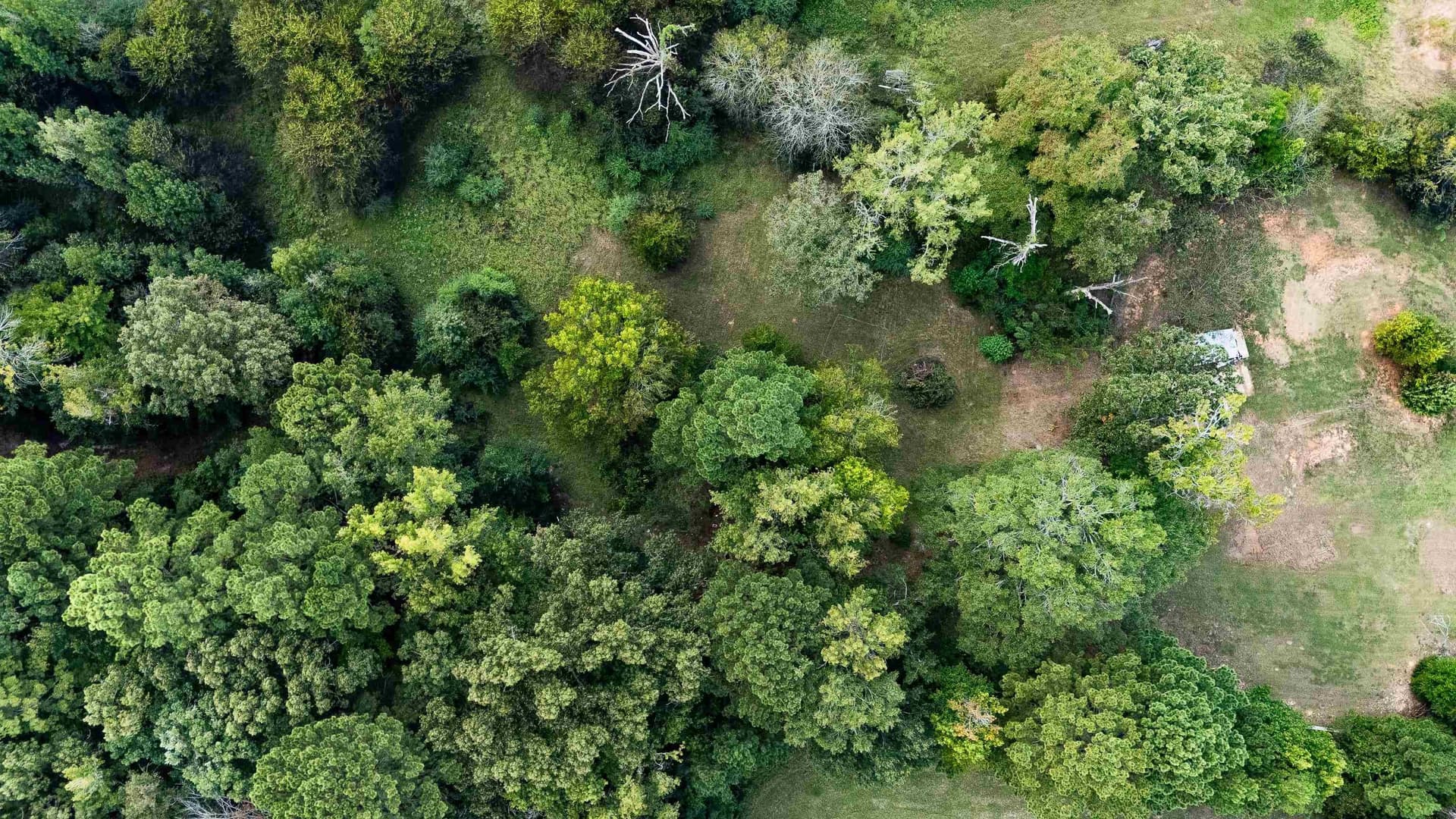 4.67 acres in Harrison County - photo 8