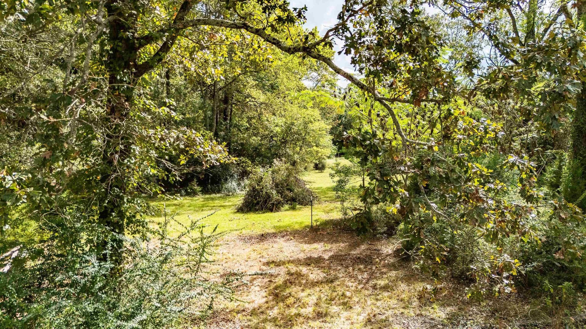 4.67 acres in Harrison County - photo 6