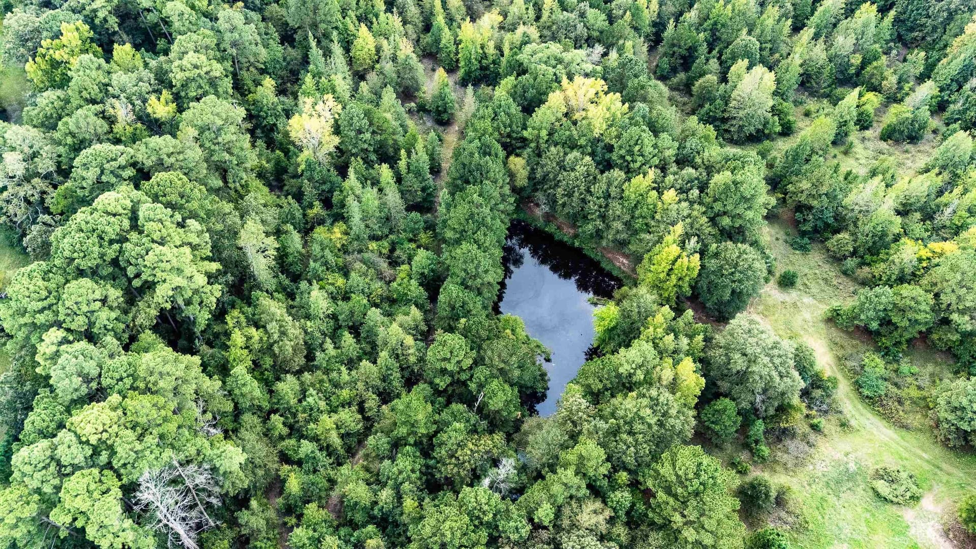 4.67 acres in Harrison County - photo 10