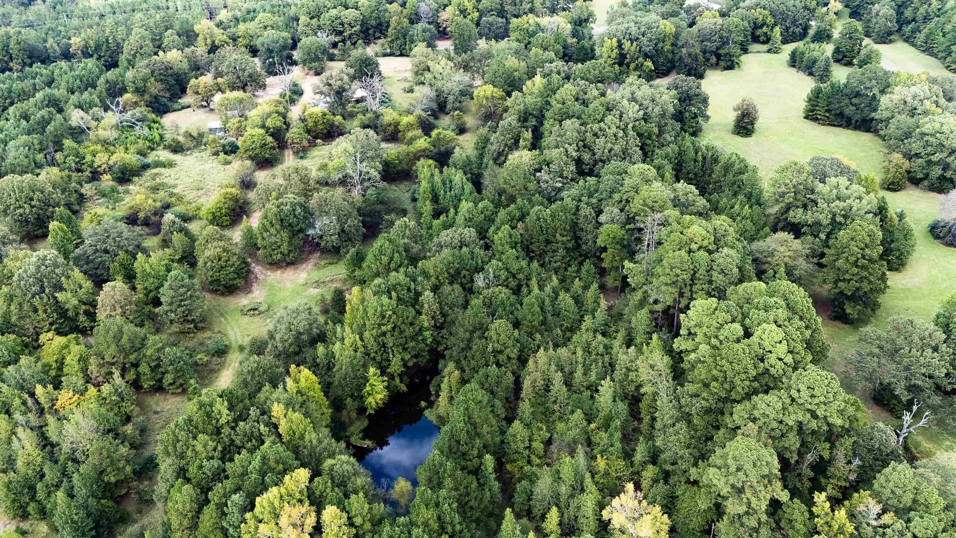 4.67 acres in Harrison County - photo 12