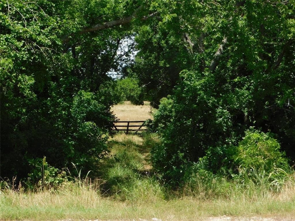 33.47 acres in Hunt County - photo 10