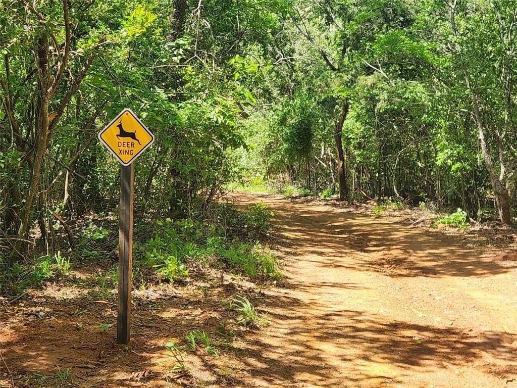 22.78 acres in Smith County - photo 4