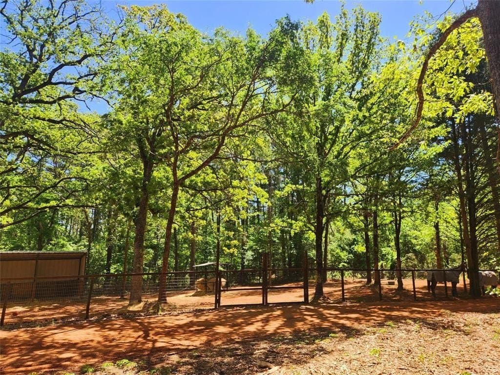 22.78 acres in Smith County - photo 13