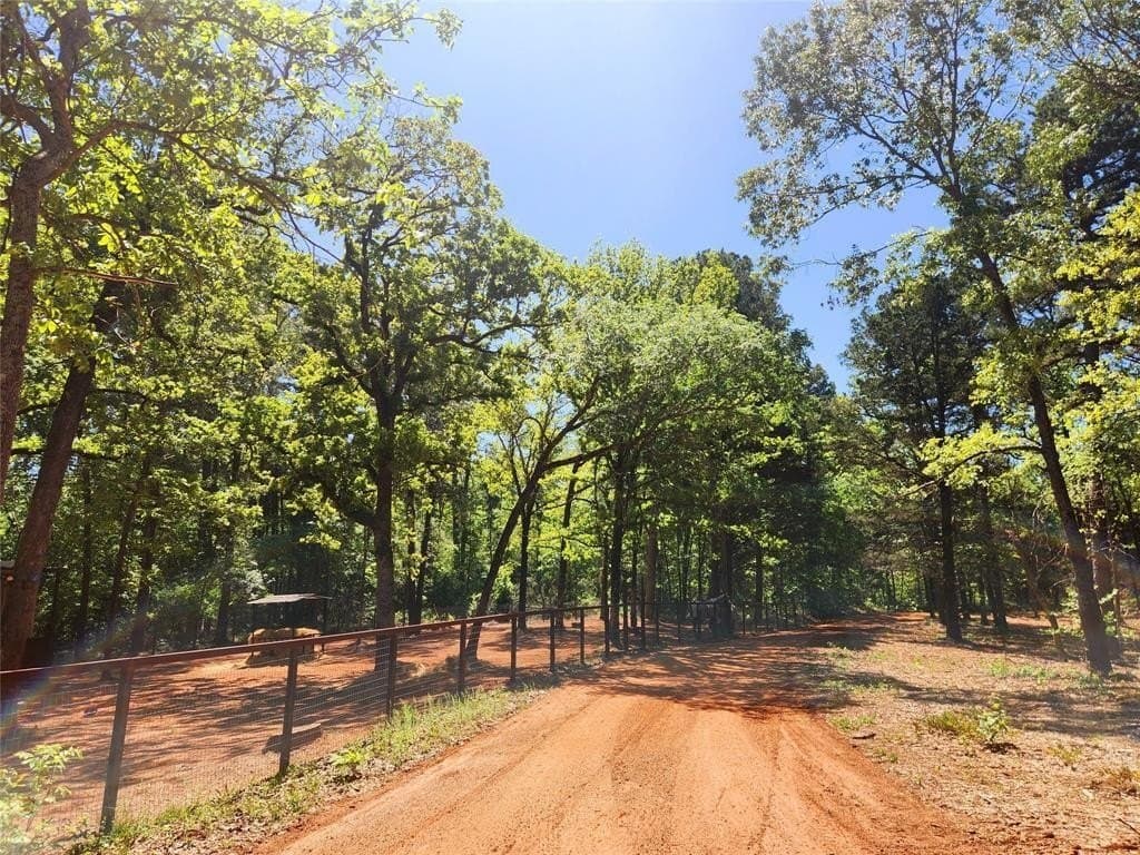 22.78 acres in Smith County - photo 8