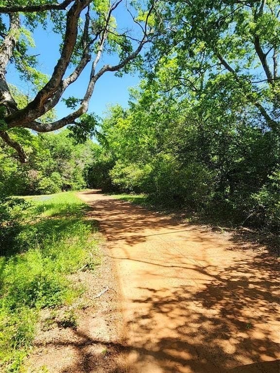 22.78 acres in Smith County - photo 5