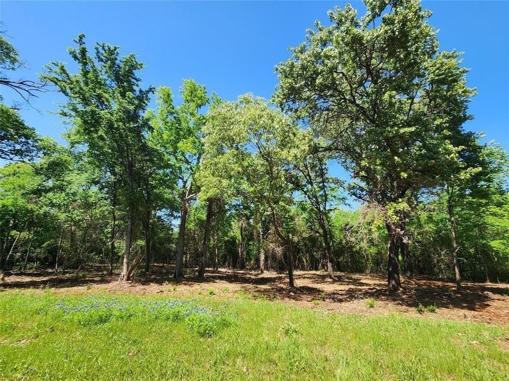 22.78 acres in Smith County - photo 17