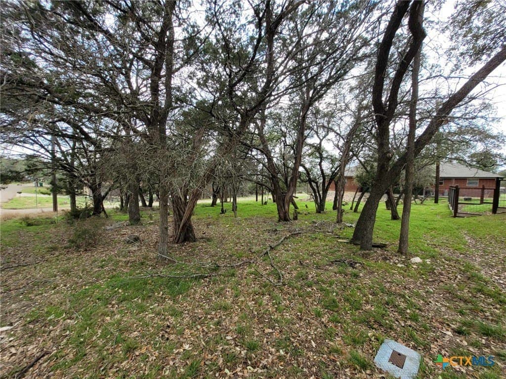 0.11 acres in Bell County - photo 5