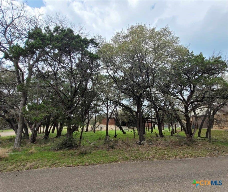 0.11 acres in Bell County - photo 2