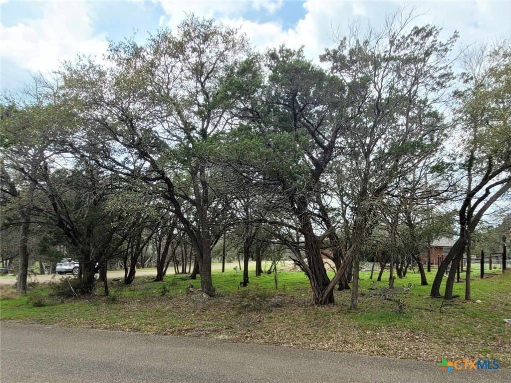 0.11 acres in Bell County - photo 4
