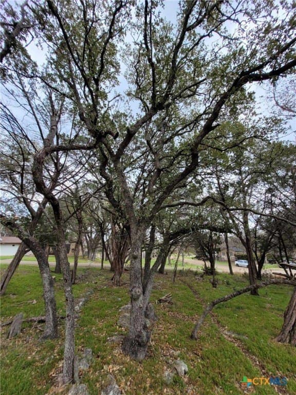 0.11 acres in Bell County - photo 8