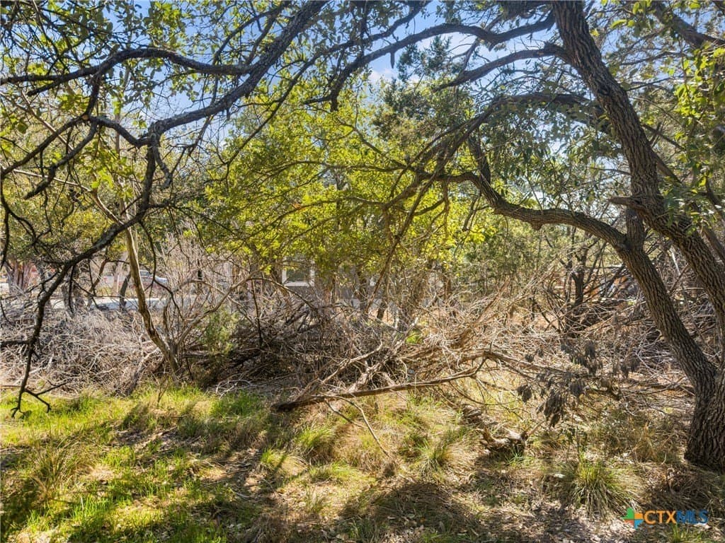0.22 acres in Comal County - photo 2