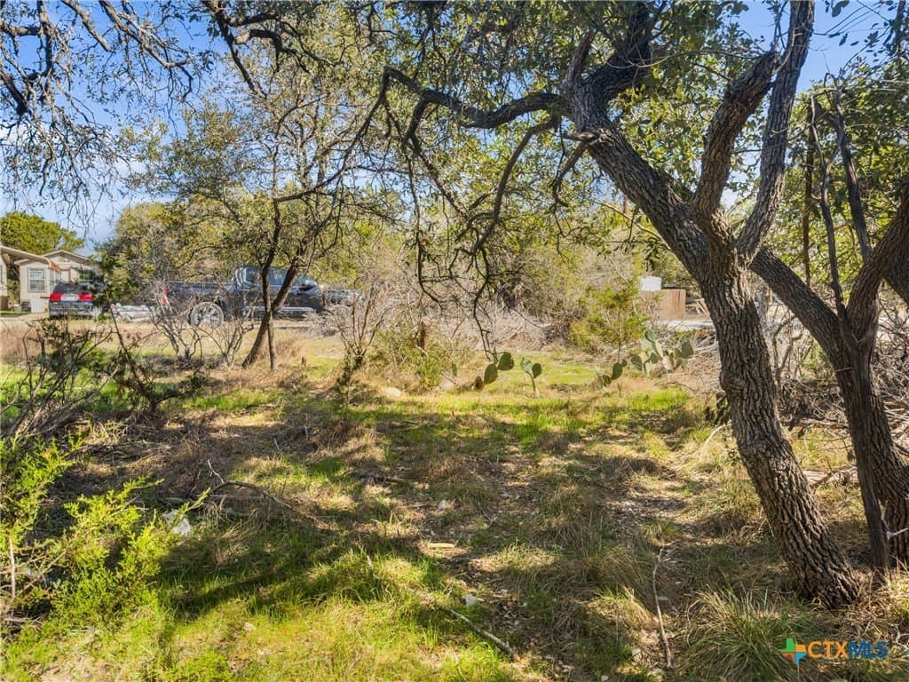 1738 Cave Drive lot: 17