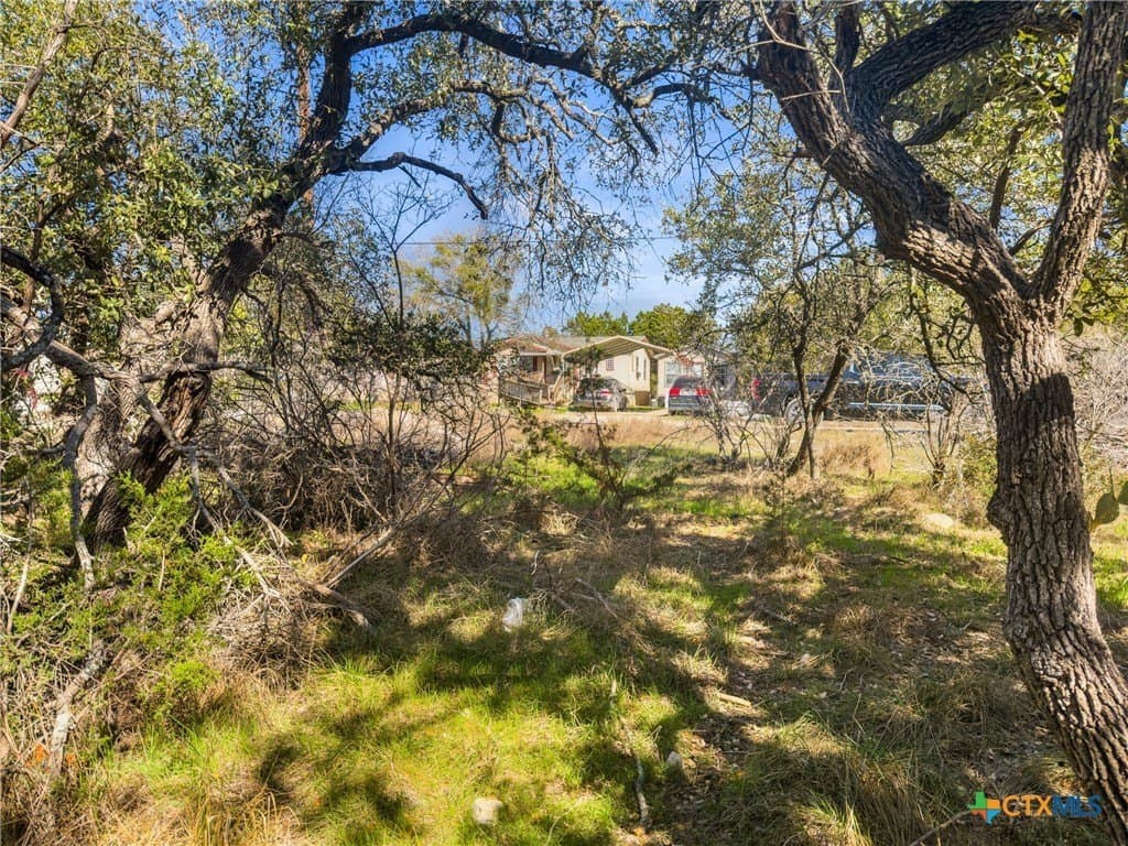 0.22 acres in Comal County - photo 4