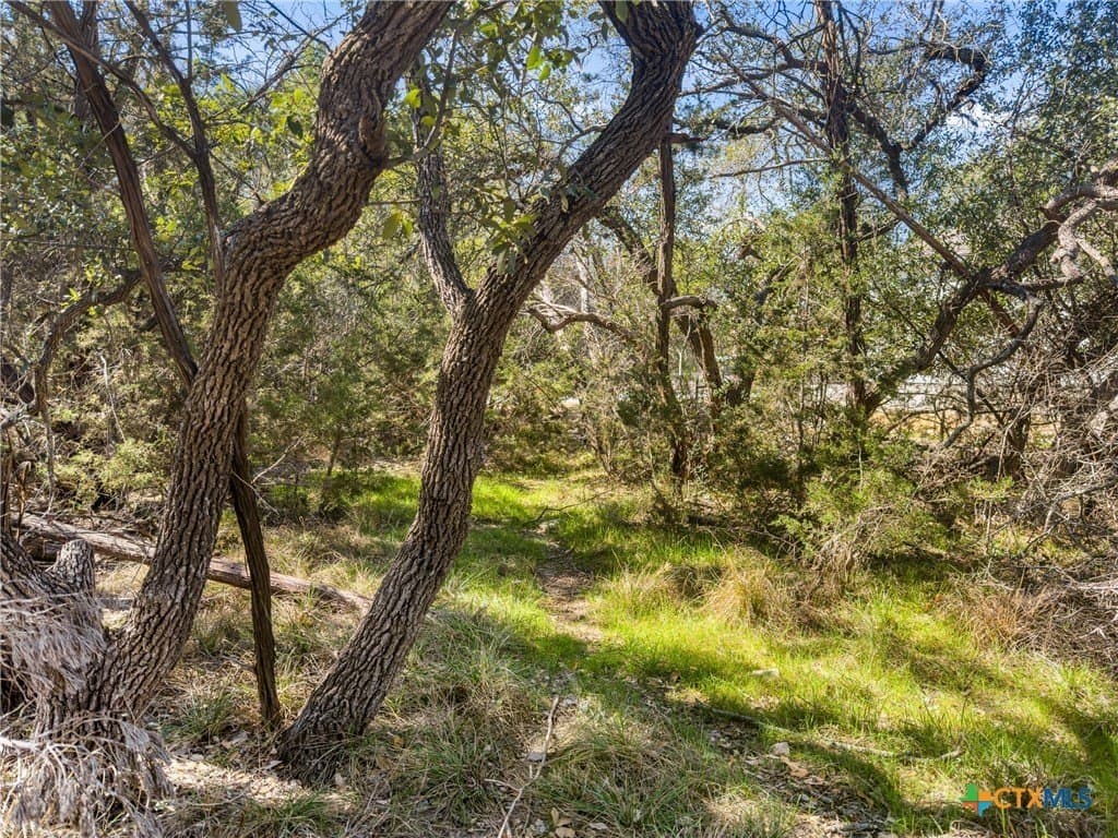 0.22 acres in Comal County - photo 3
