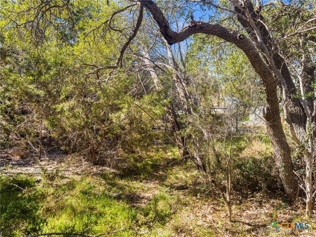 0.22 acres in Comal County - photo 5