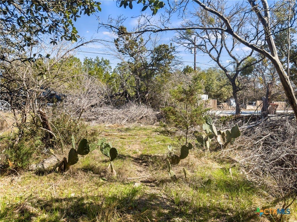 0.22 acres in Comal County - photo 7