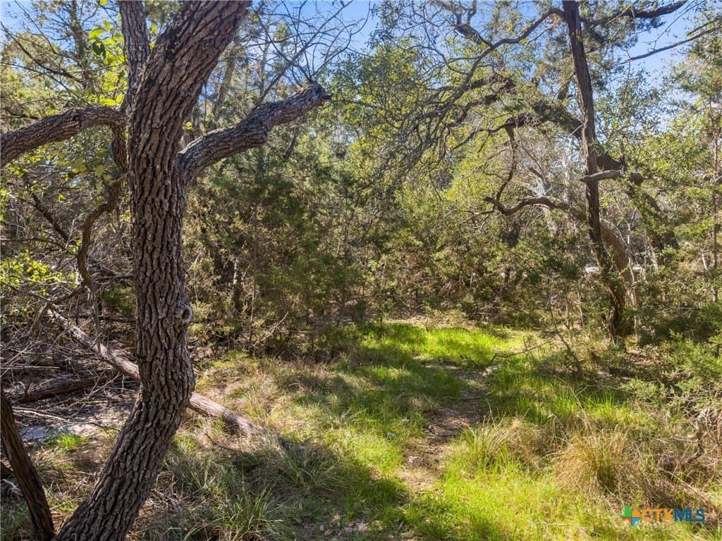 0.22 acres in Comal County - photo 6