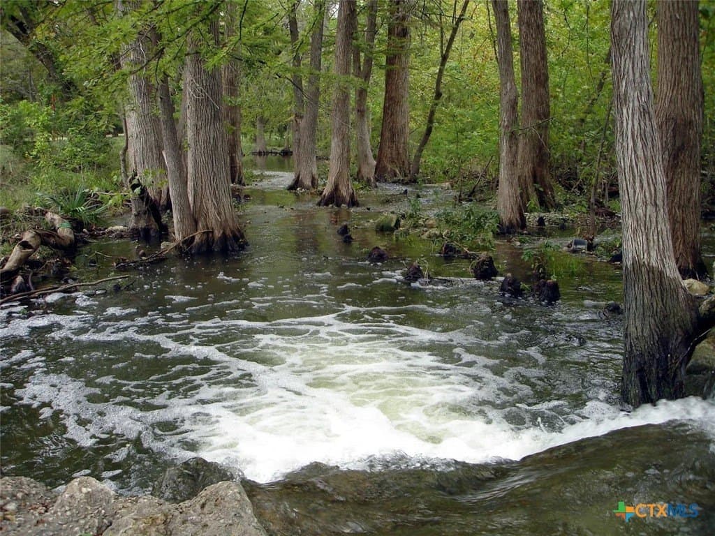 0.22 acres in Comal County - photo 17