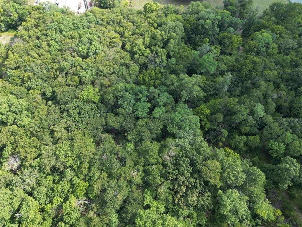 7.16 acres in Rockwall County - photo 14