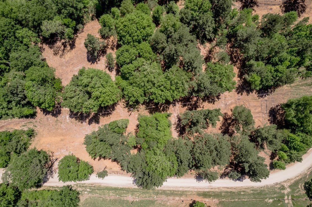 1.32 acres in HOUSTON County - photo 2