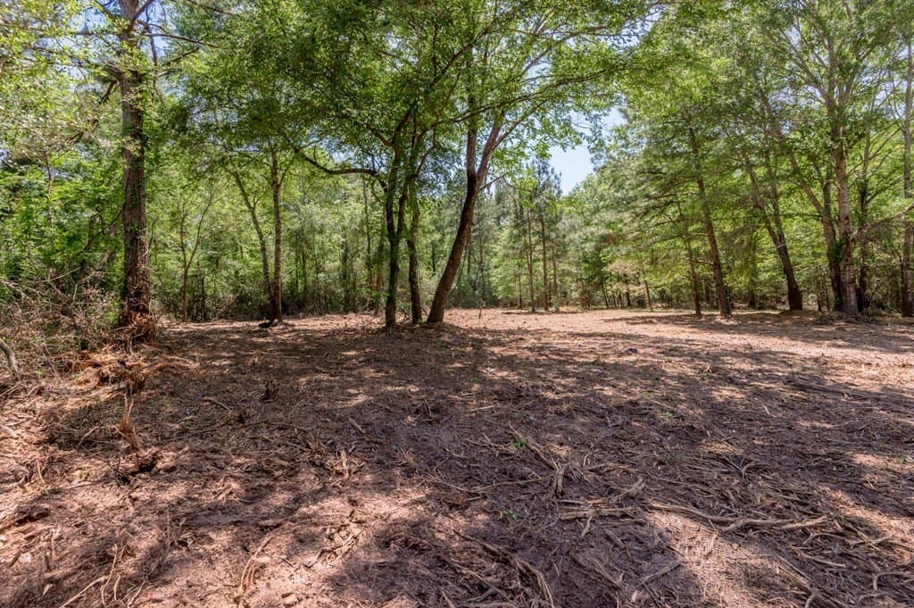 1.32 acres in HOUSTON County - photo 4