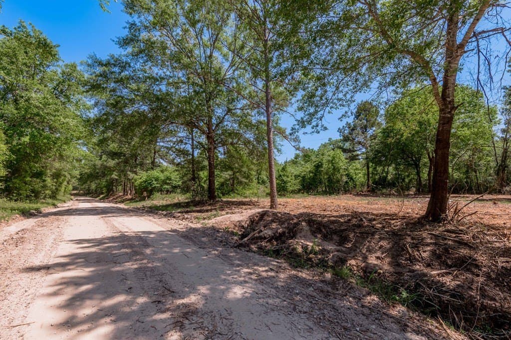 1.32 acres in HOUSTON County - photo 3