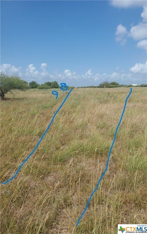 0.33 acres in Calhoun County - photo 4