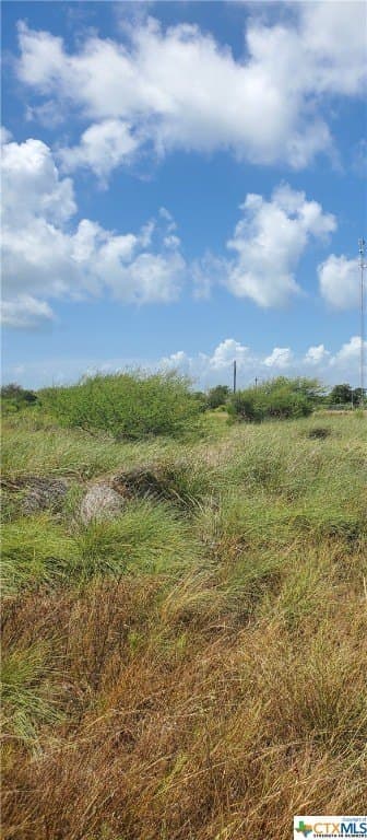0.33 acres in Calhoun County - photo 2