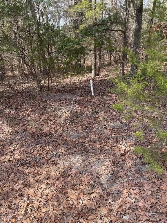 0.66 acres in Van Zandt County - photo 2