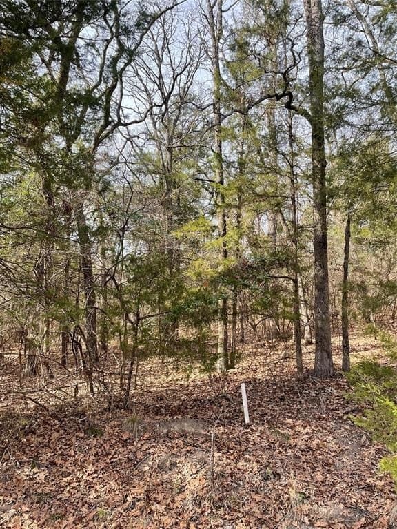 0.66 acres in Van Zandt County - photo 3