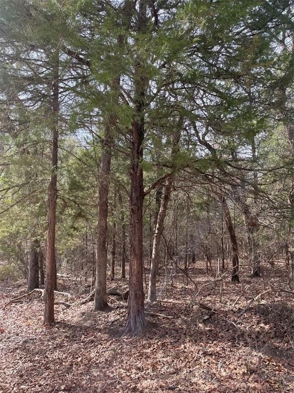 0.66 acres in Van Zandt County - photo 4