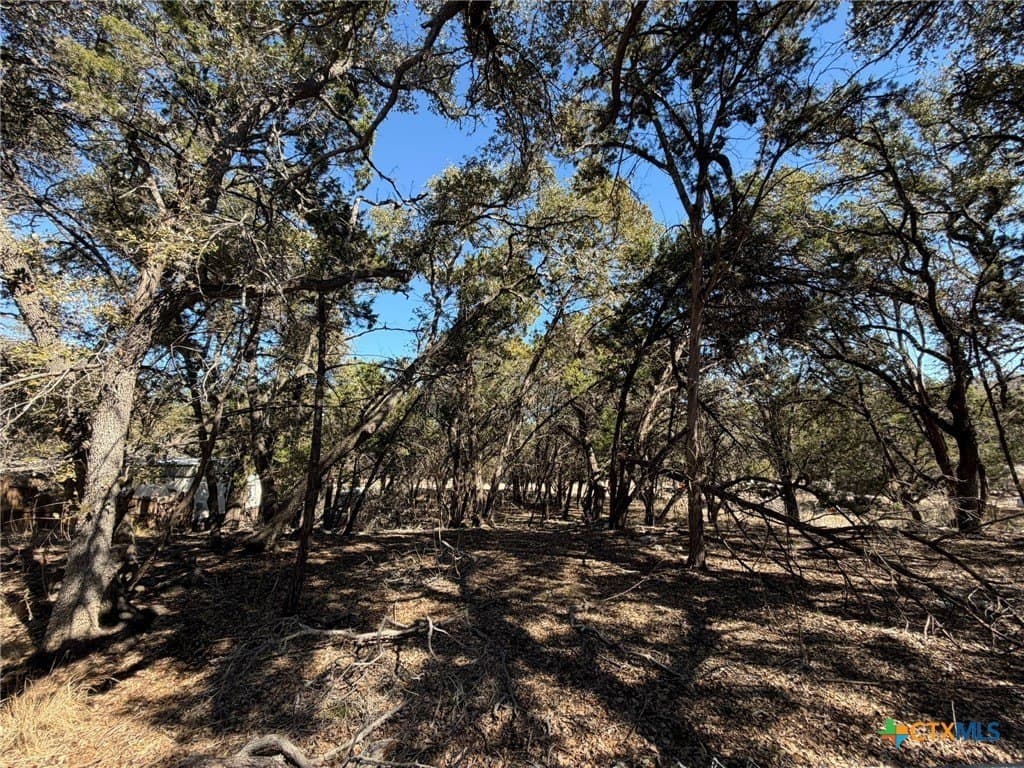 0.23 acres in Comal County - photo 15
