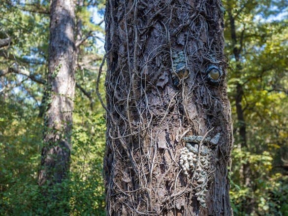 25.17 acres in ANDERSON County - photo 36