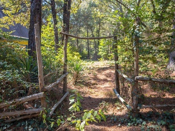 25.17 acres in ANDERSON County - photo 38