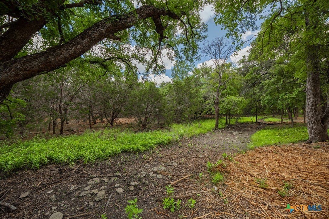 250 E Ridgewood Road lot: 1