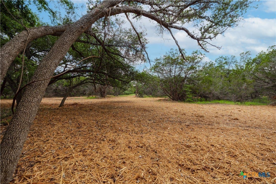 5.25 acres in Williamson County - photo 4