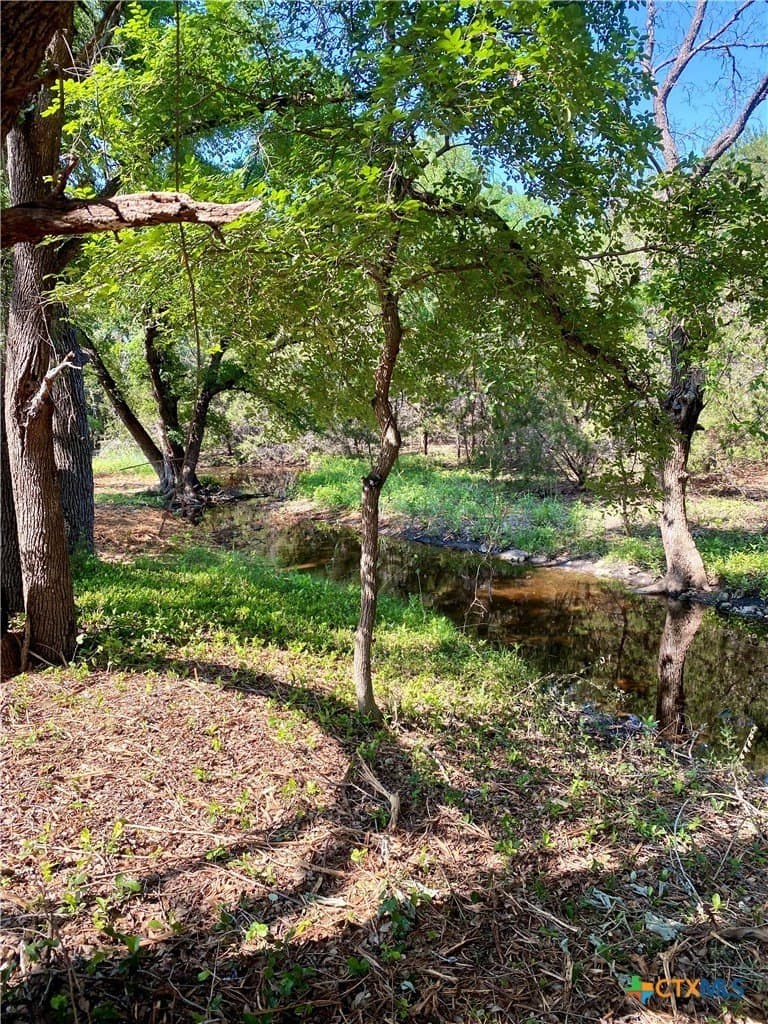 5.25 acres in Williamson County - photo 8