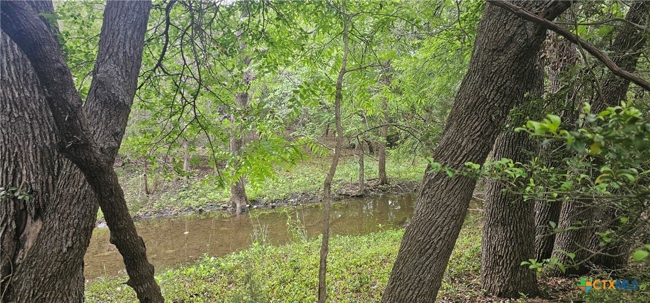 5.25 acres in Williamson County - photo 9