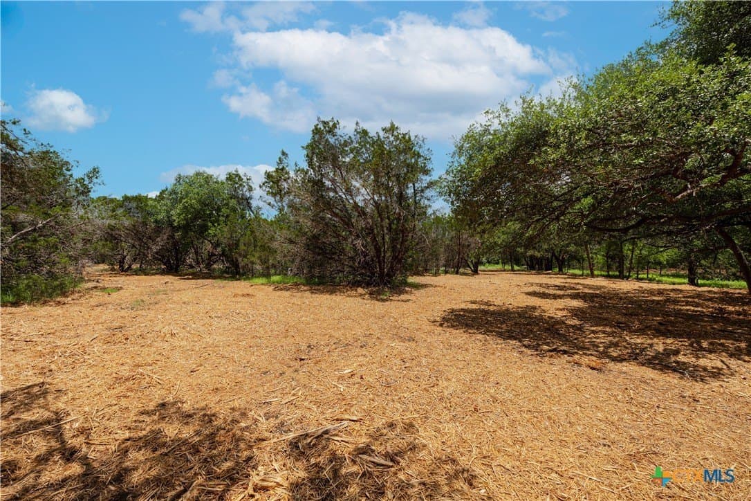 5.25 acres in Williamson County - photo 2