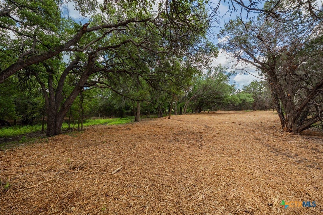 5.25 acres in Williamson County - photo 10