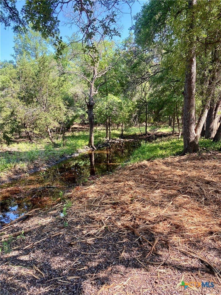5.25 acres in Williamson County - photo 7